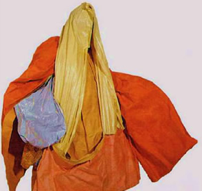 image003